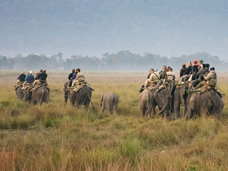best Tours and travels agency in Calcutta, India