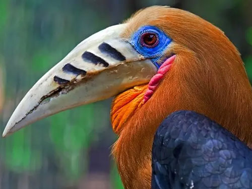 best Tours and travels agency in Calcutta, India
