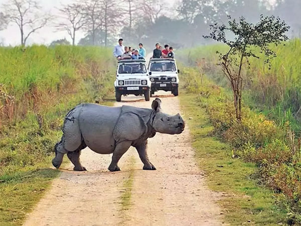 best Tours and travels agency in Calcutta, India